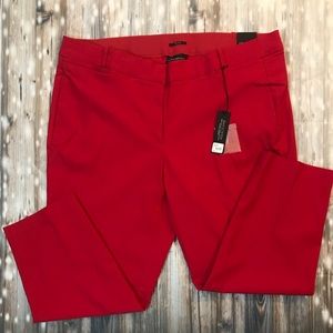 Size 24 Plus Lane Bryant Sexy Stretch Pants